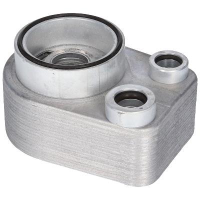 Radiador óleo motor ORIGINAL BIRTH ref. 80751
