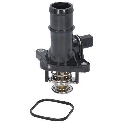 Thermostat d'eau (Calorstat) ORIGINAL BIRTH 8721