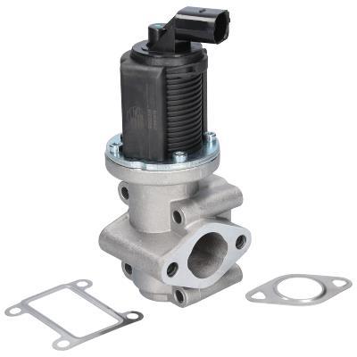Vanne EGR ORIGINAL BIRTH 90039