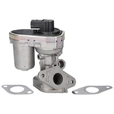 Vanne EGR ORIGINAL BIRTH 90063