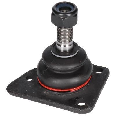 Rotule de suspension (Rotule de pivot) ORIGINAL BIRTH CS0015