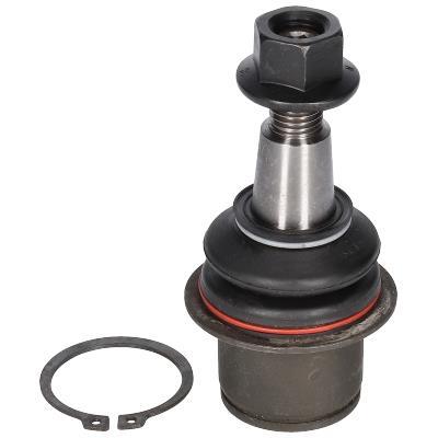 Rotule de suspension (Rotule de pivot) ORIGINAL BIRTH CX0182