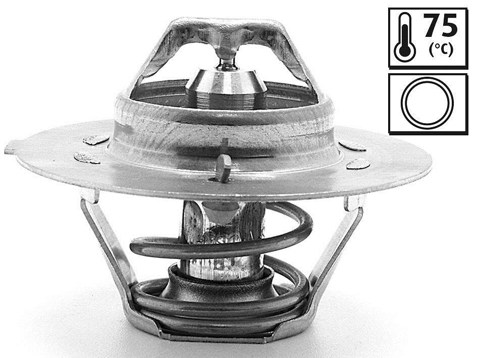 Thermostat d'eau (Calorstat) VALEO 819899