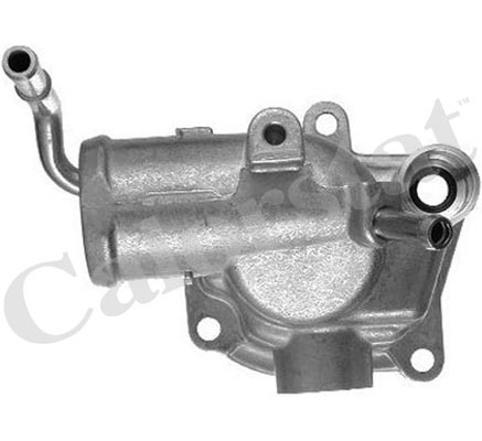 Thermostat d'eau (Calorstat) VERNET S.A.S. 6850.87