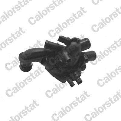 Thermostat d'eau (Calorstat) VERNET S.A.S. ref. TE2110.105J