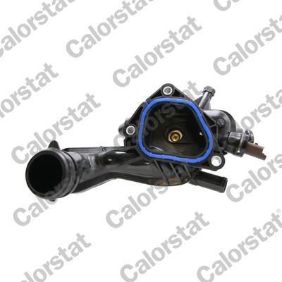 Thermostat d'eau (Calorstat) VERNET S.A.S. ref. TE7145.105J