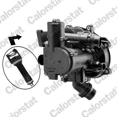 Thermostat d'eau (Calorstat) VERNET S.A.S. ref. TFS7195.113J