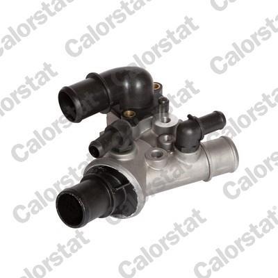 Thermostat d'eau (Calorstat) VERNET S.A.S. ref. TH5976.80J