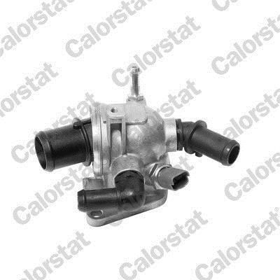 Thermostat d'eau (Calorstat) VERNET S.A.S. ref. TH6981.88J