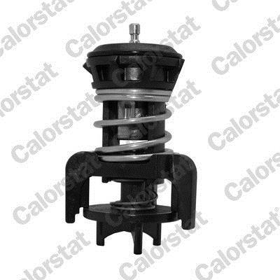 Thermostat d'eau (Calorstat) VERNET S.A.S. ref. TH7275.92J