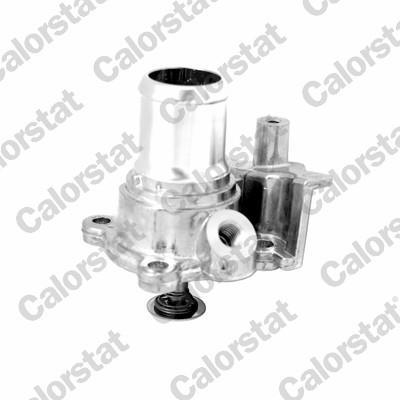 Thermostat d'eau (Calorstat) VERNET S.A.S. ref. TH7303.82J