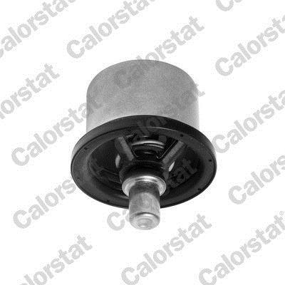 Thermostat d'eau (Calorstat) VERNET S.A.S. ref. THS16957.82