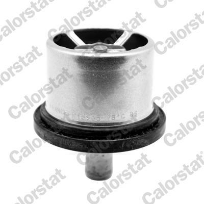 Thermostat d'eau (Calorstat) VERNET S.A.S. ref. THS16965.79
