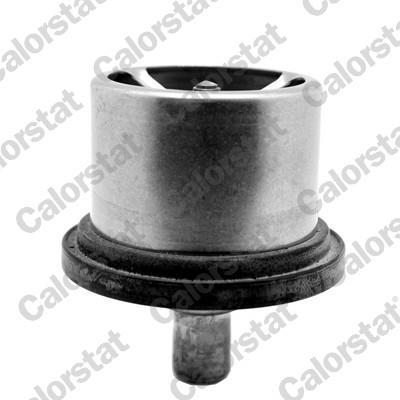 Thermostat d'eau (Calorstat) VERNET S.A.S. ref. THS19094.80