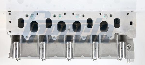 Cabeça do motor FRECCIA CH17-1005