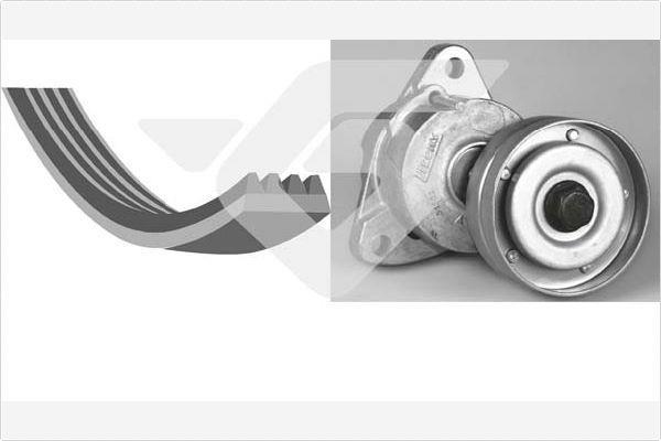 Kit de courroie d'accessoire (Courroie d’alternateur) HUTCHINSON KHV 206