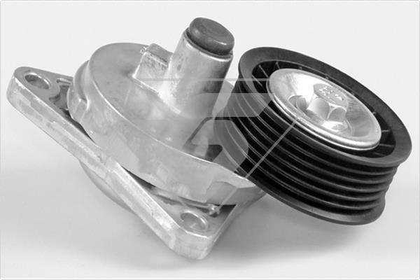 Polea tensora, correa auxiliar servicios HUTCHINSON ref. T0313