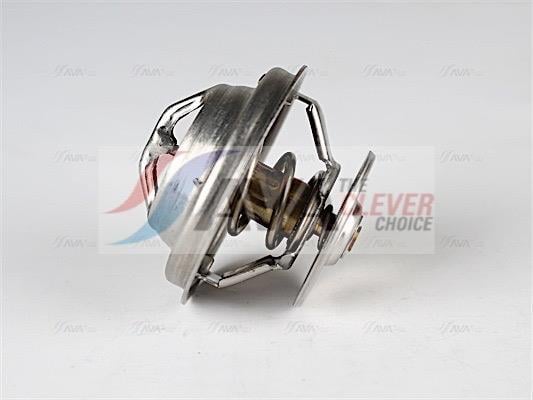 Thermostat d'eau (Calorstat) AVA Deutschland GmbH ref. CRTS001