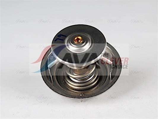 Thermostat d'eau (Calorstat) AVA Deutschland GmbH ref. CRTS001
