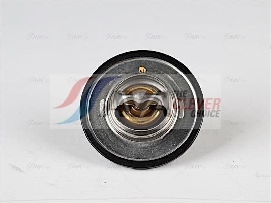 Thermostat d'eau (Calorstat) AVA Deutschland GmbH ref. DNTS002