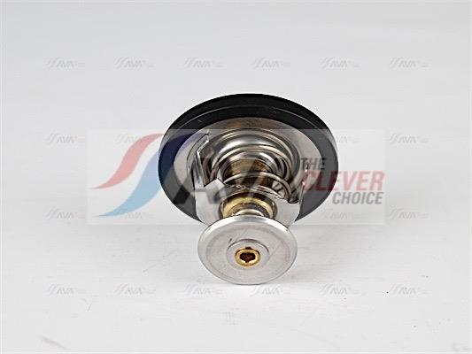 Thermostat d'eau (Calorstat) AVA Deutschland GmbH ref. FDTS001
