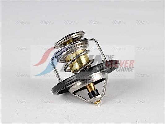 Thermostat d'eau (Calorstat) AVA Deutschland GmbH ref. HYTS002