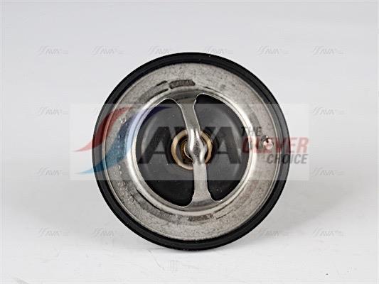 Thermostat d'eau (Calorstat) AVA Deutschland GmbH ref. MTTS001