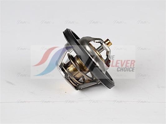 Thermostat d'eau (Calorstat) AVA Deutschland GmbH ref. OLTS004