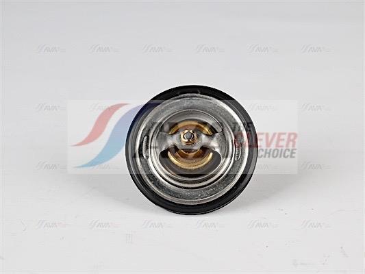 Thermostat d'eau (Calorstat) AVA Deutschland GmbH ref. OLTS008