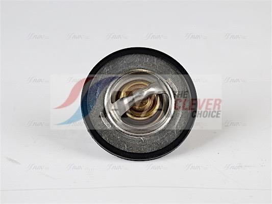 Thermostat d'eau (Calorstat) AVA Deutschland GmbH ref. PETS001