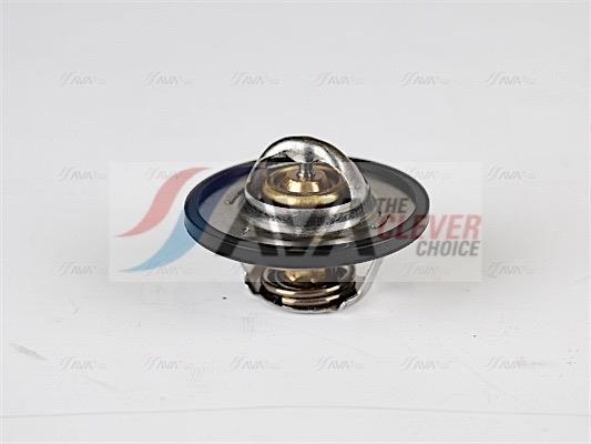 Thermostat d'eau (Calorstat) AVA Deutschland GmbH ref. PETS001