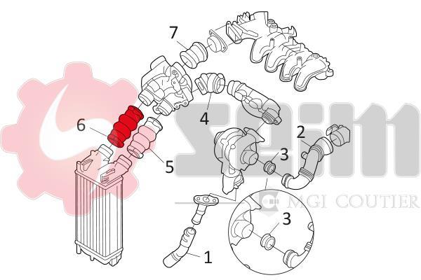 Mangueira do turbocompressor SEIM 981135