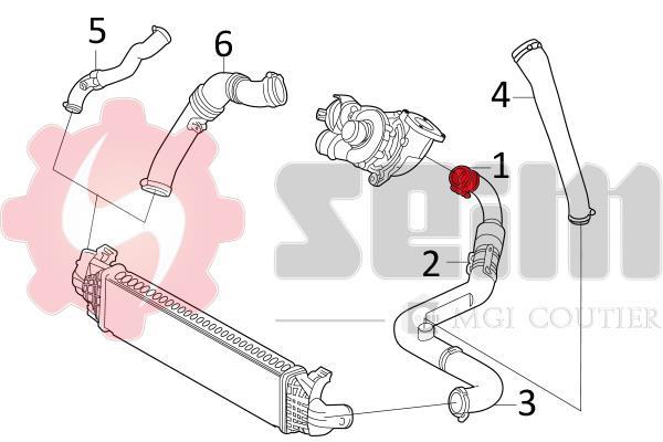 Durite de turbocompresseur (Durite de turbo) SEIM 981232