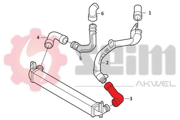 Mangueira do turbocompressor SEIM 981981