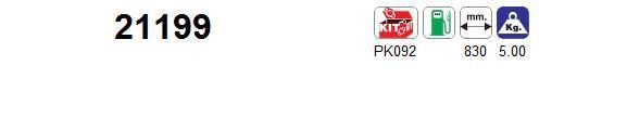 Catalyseur (Pot catalytique) AS ref. 21199