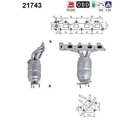 Catalizador AS 21743