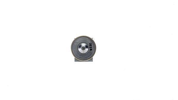 Válvula de expansão MAHLE Aftermarket ref. AVE 166 000P