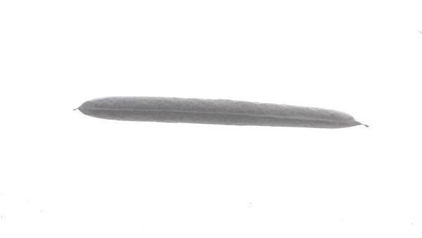 Filtre déshydrateur du circuit de climatisation MAHLE Aftermarket ref. AD 334 000S