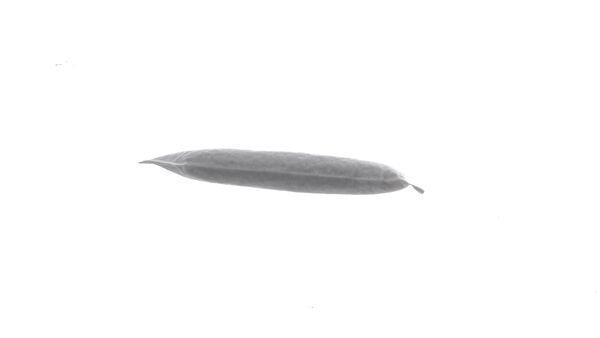Filtre déshydrateur du circuit de climatisation MAHLE Aftermarket ref. AD 339 000S