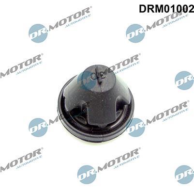 Tope, tapa motor Lizarte, S.A. ref. DRM01002