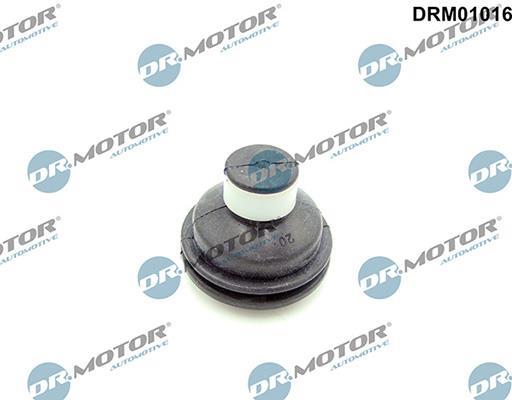 Tope, tapa motor Lizarte, S.A. ref. DRM01016