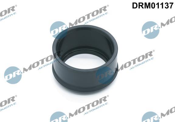 Bague d'étanchéité, gaine de suralimentation Lizarte, S.A. DRM01137