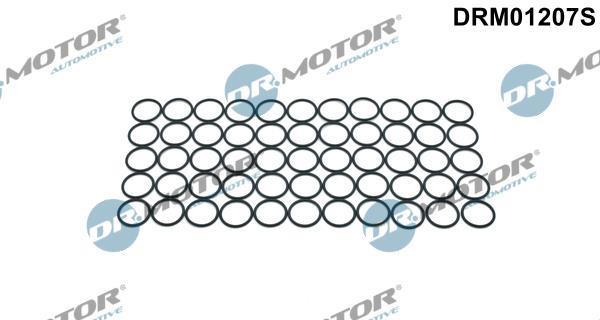 Bague d'étanchéité, porte-injecteur Lizarte, S.A. DRM01207S