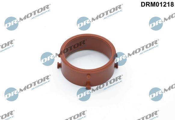 Bague d'étanchéité, gaine de suralimentation Lizarte, S.A. DRM01218