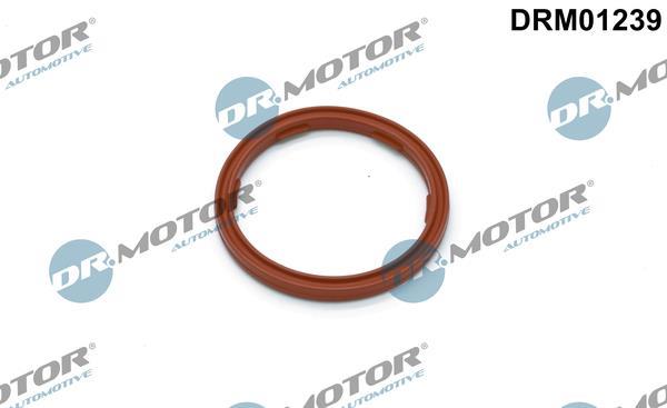 Retén, sensor nivel aceite motor Lizarte, S.A. ref. DRM01239
