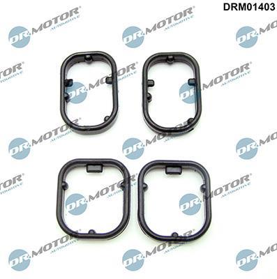 Kit de joints, radiateur d'huile Lizarte, S.A. ref. DRM01403