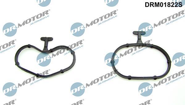 Kit de joints, radiateur d'huile Lizarte, S.A. ref. DRM01822S