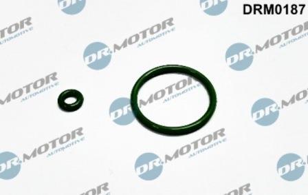 Bague d'étanchéité, porte-injecteur Lizarte, S.A. DRM0187