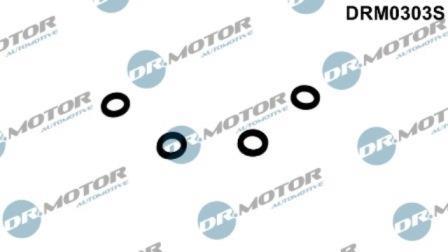 Bouchon, carburant de fuite Lizarte, S.A. ref. DRM0303S