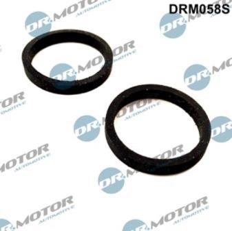 Kit de joints, radiateur d'huile Lizarte, S.A. ref. DRM058S